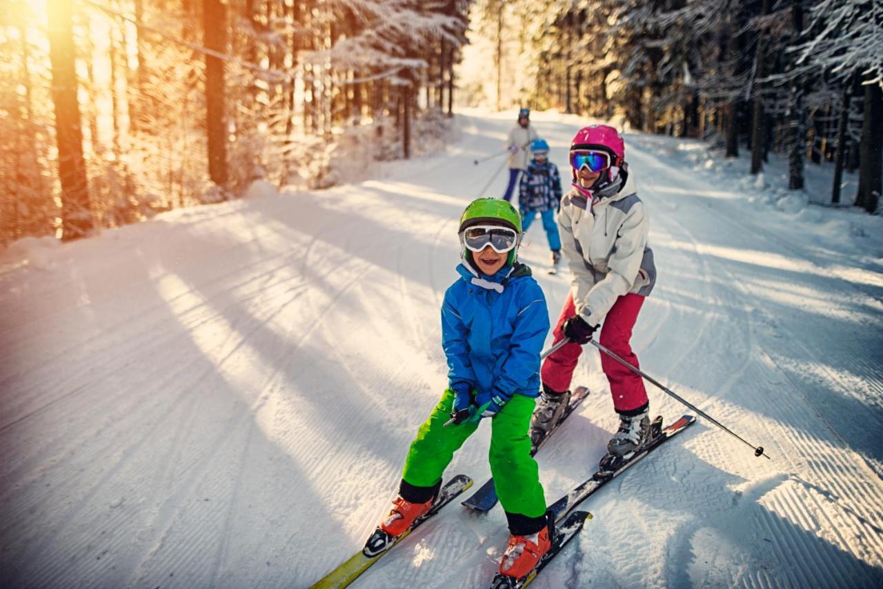 Chalet Ananas, Hameau Des Marmottes サン・マルタン・ド・ベルヴィル エクステリア 写真
